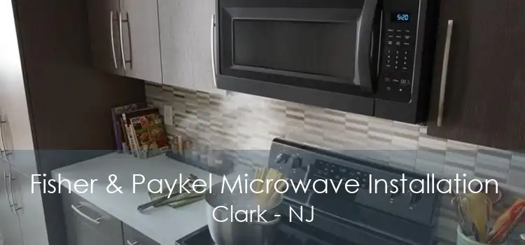 Fisher & Paykel Microwave Installation Clark - NJ