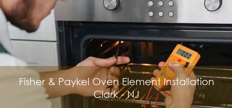 Fisher & Paykel Oven Element Installation Clark - NJ