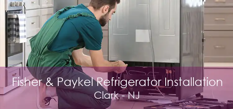 Fisher & Paykel Refrigerator Installation Clark - NJ