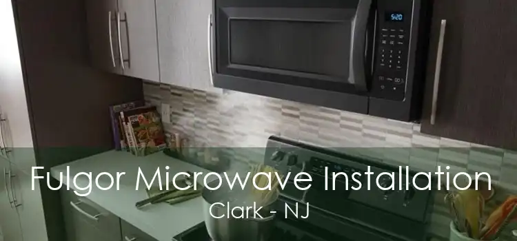 Fulgor Microwave Installation Clark - NJ