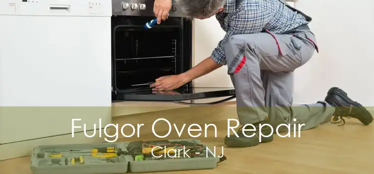 Fulgor Oven Repair Clark - NJ