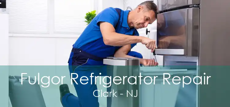 Fulgor Refrigerator Repair Clark - NJ
