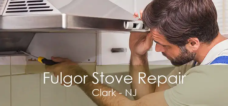 Fulgor Stove Repair Clark - NJ