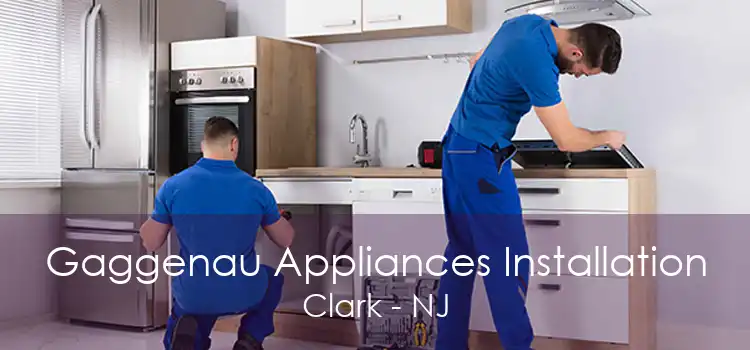 Gaggenau Appliances Installation Clark - NJ