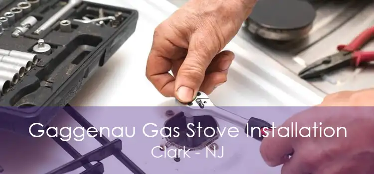 Gaggenau Gas Stove Installation Clark - NJ