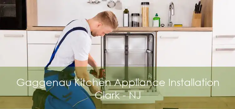 Gaggenau Kitchen Appliance Installation Clark - NJ