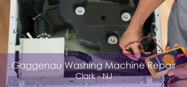 Gaggenau Washing Machine Repair Clark - NJ