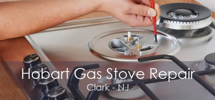 Hobart Gas Stove Repair Clark - NJ
