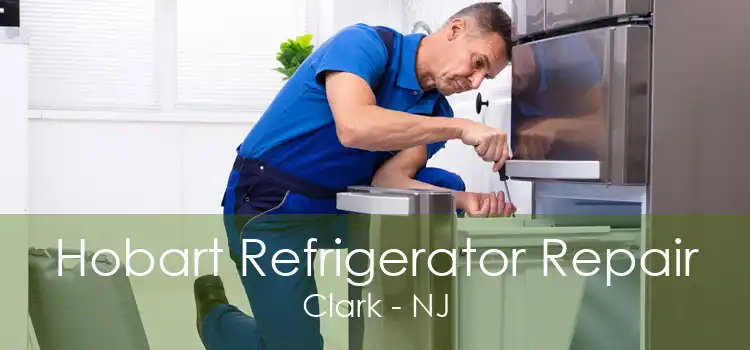 Hobart Refrigerator Repair Clark - NJ