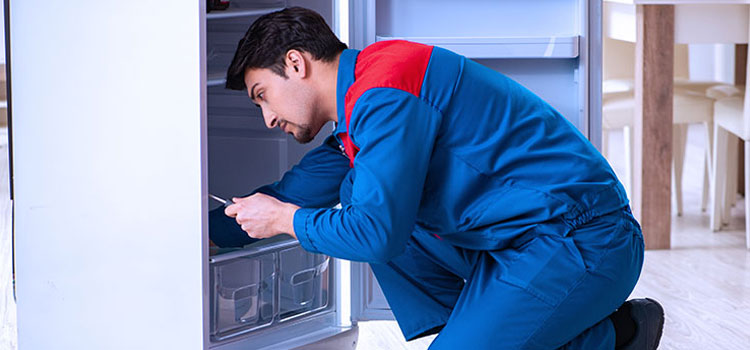 Samsung Freezer Repair Services in Clark, New Jersey
