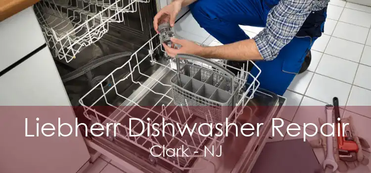 Liebherr Dishwasher Repair Clark - NJ