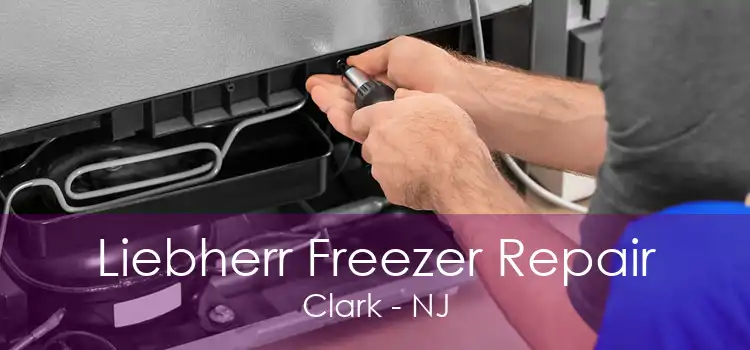Liebherr Freezer Repair Clark - NJ