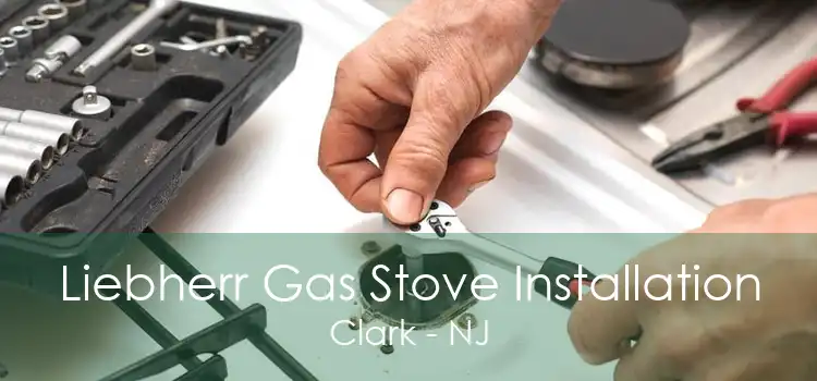 Liebherr Gas Stove Installation Clark - NJ