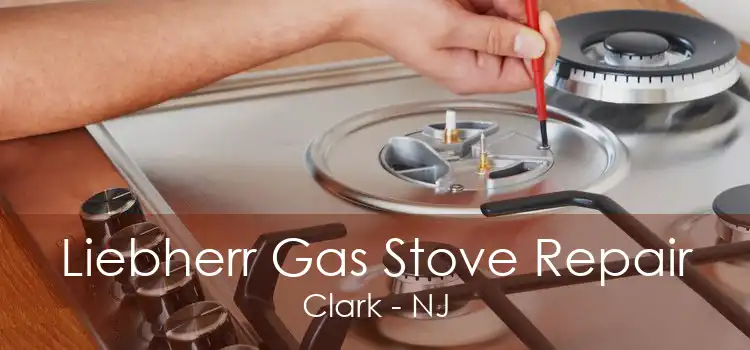 Liebherr Gas Stove Repair Clark - NJ