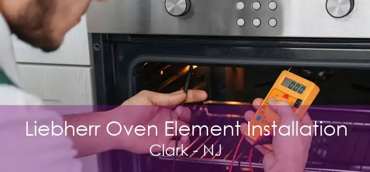 Liebherr Oven Element Installation Clark - NJ