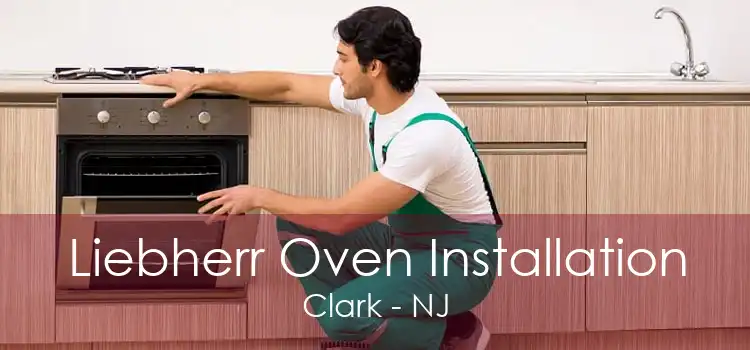 Liebherr Oven Installation Clark - NJ