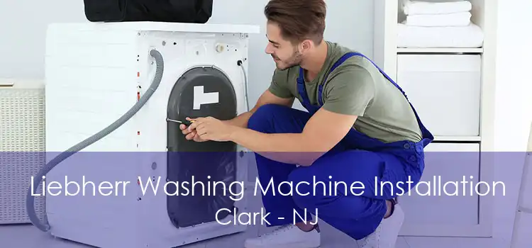Liebherr Washing Machine Installation Clark - NJ