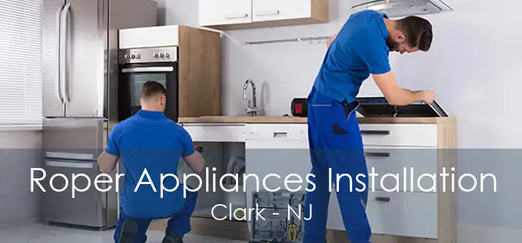 Roper Appliances Installation Clark - NJ