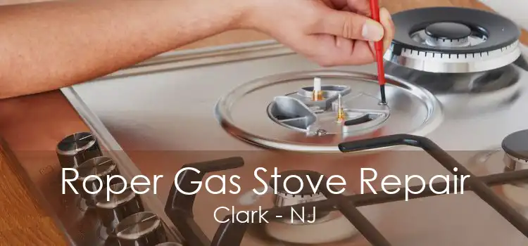 Roper Gas Stove Repair Clark - NJ