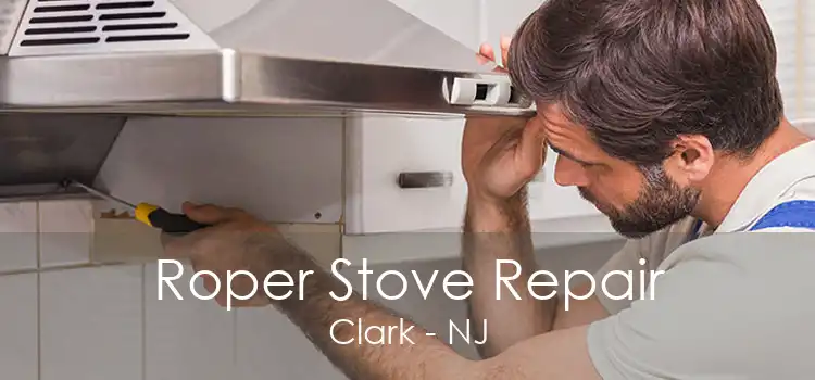 Roper Stove Repair Clark - NJ