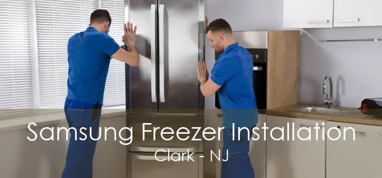 Samsung Freezer Installation Clark - NJ