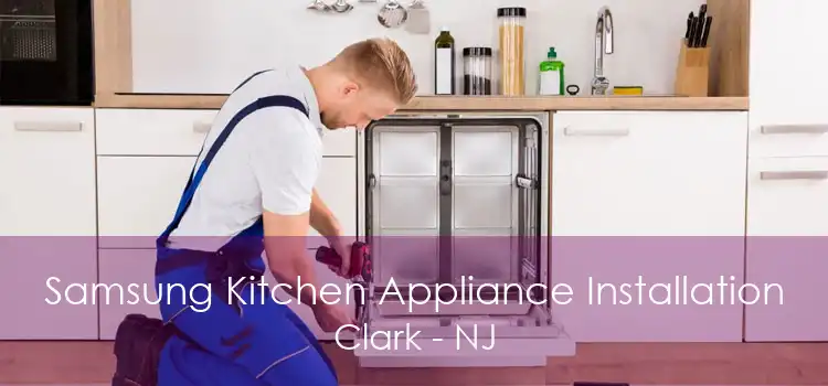 Samsung Kitchen Appliance Installation Clark - NJ