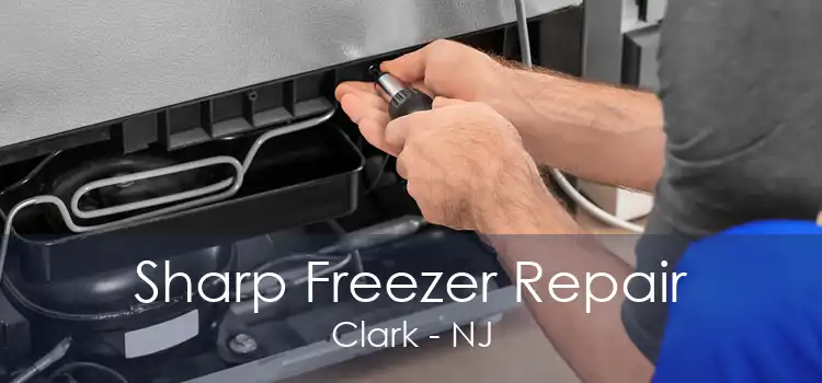 Sharp Freezer Repair Clark - NJ