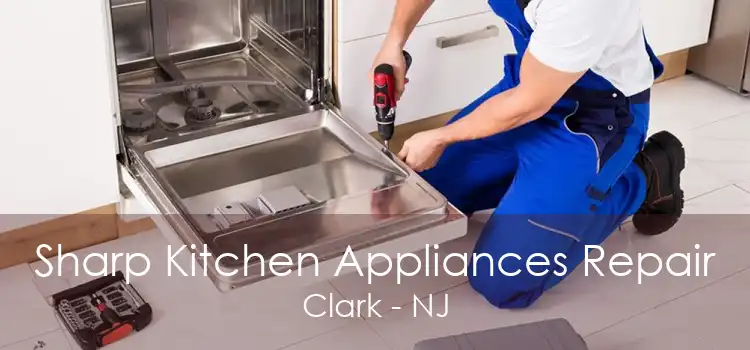 Sharp Kitchen Appliances Repair Clark - NJ