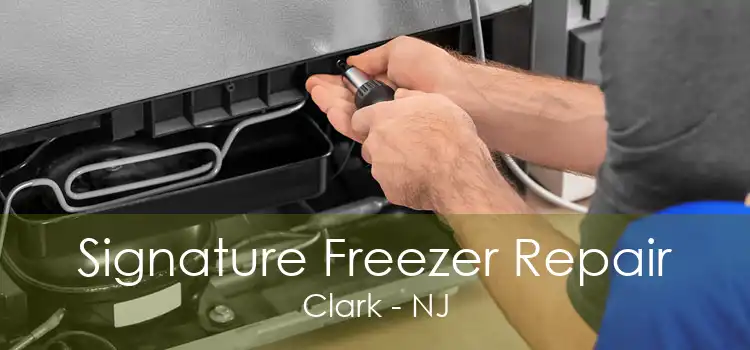 Signature Freezer Repair Clark - NJ