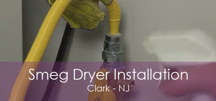 Smeg Dryer Installation Clark - NJ