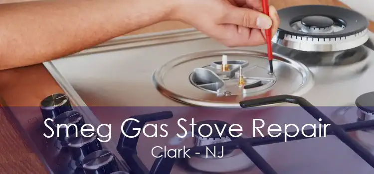 Smeg Gas Stove Repair Clark - NJ