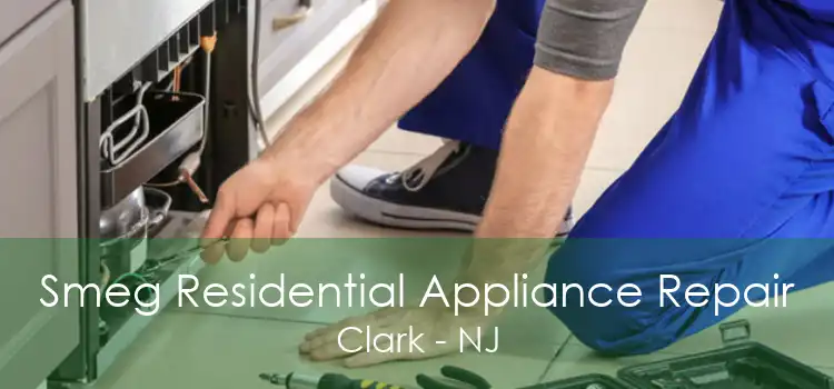 Smeg Residential Appliance Repair Clark - NJ