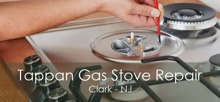 Tappan Gas Stove Repair Clark - NJ