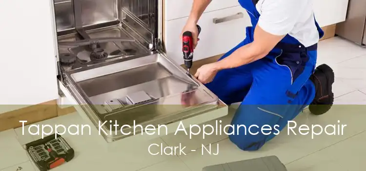 Tappan Kitchen Appliances Repair Clark - NJ