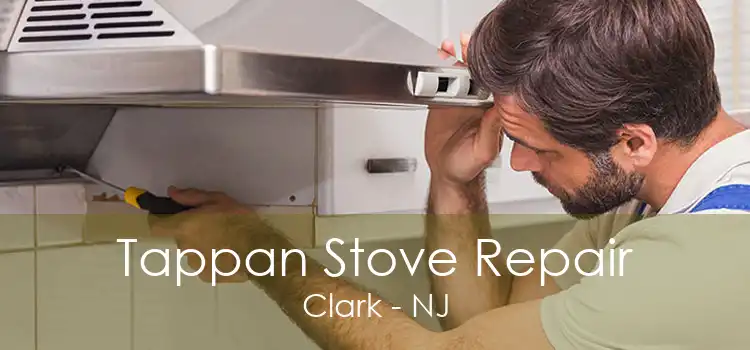 Tappan Stove Repair Clark - NJ