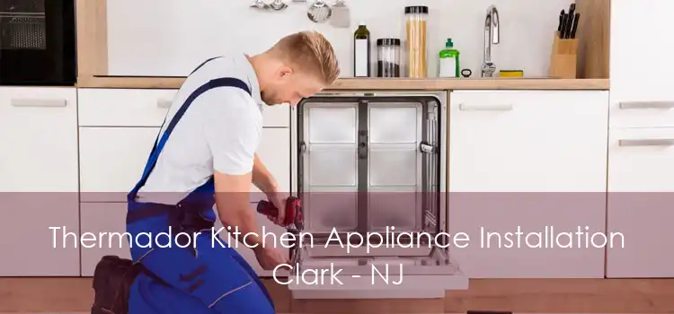 Thermador Kitchen Appliance Installation Clark - NJ