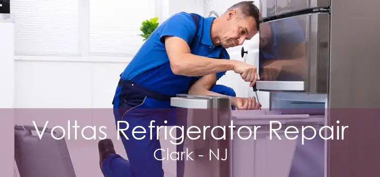 Voltas Refrigerator Repair Clark - NJ