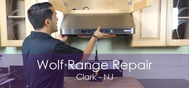 Wolf Range Repair Clark - NJ