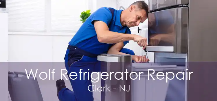 Wolf Refrigerator Repair Clark - NJ