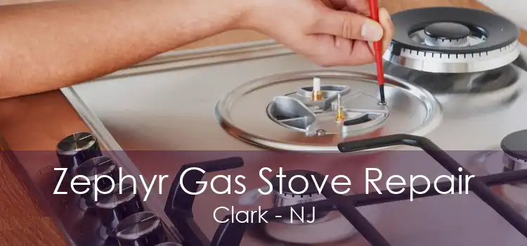 Zephyr Gas Stove Repair Clark - NJ