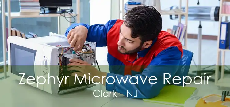 Zephyr Microwave Repair Clark - NJ