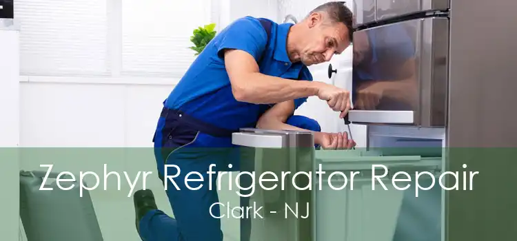 Zephyr Refrigerator Repair Clark - NJ