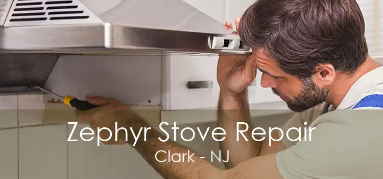 Zephyr Stove Repair Clark - NJ